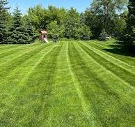 Grass Cut